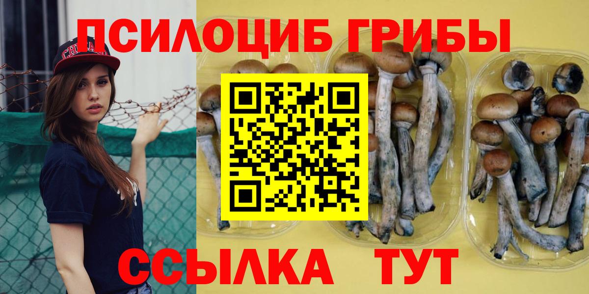 Псилоцибиновые грибы GOLDEN TEACHER  Вход с VPN  Удомля  Галлюциногенные грибы мицелий 